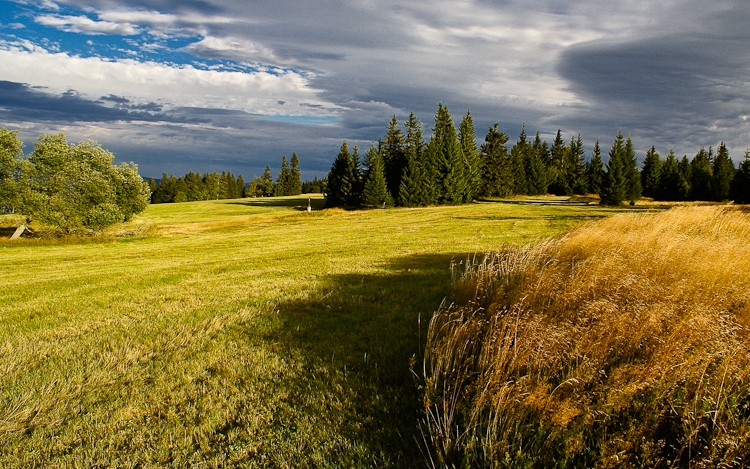 Šumava